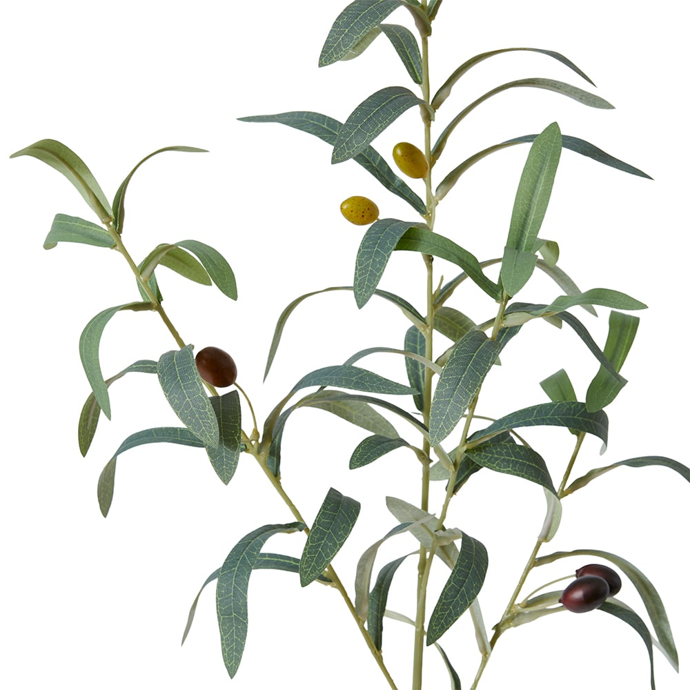 Olive Spray - 81cm color Green