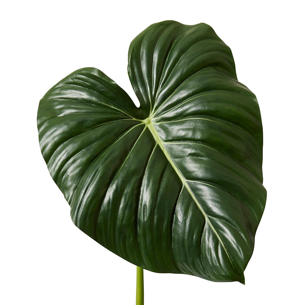Philodendron Leaf Stem - 90cm color Green