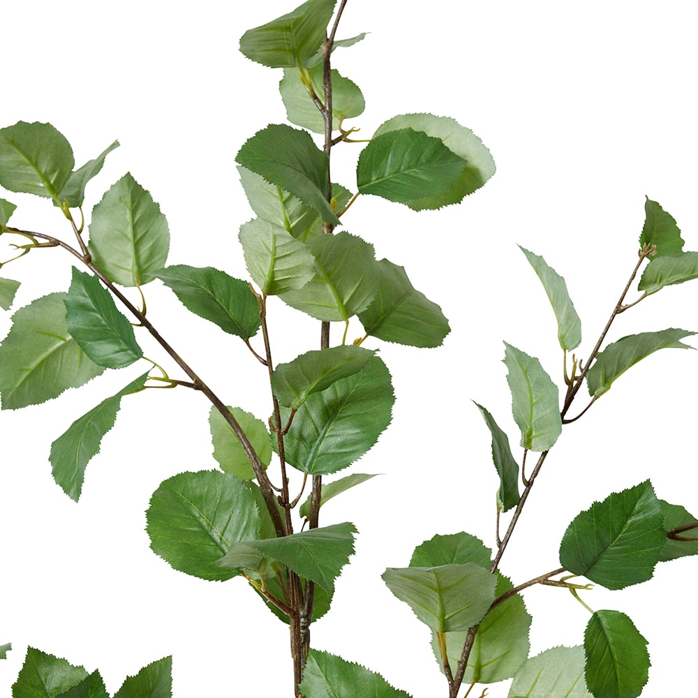 Leaf Spray - 40cm x 22cm x 122cm color 68194202
