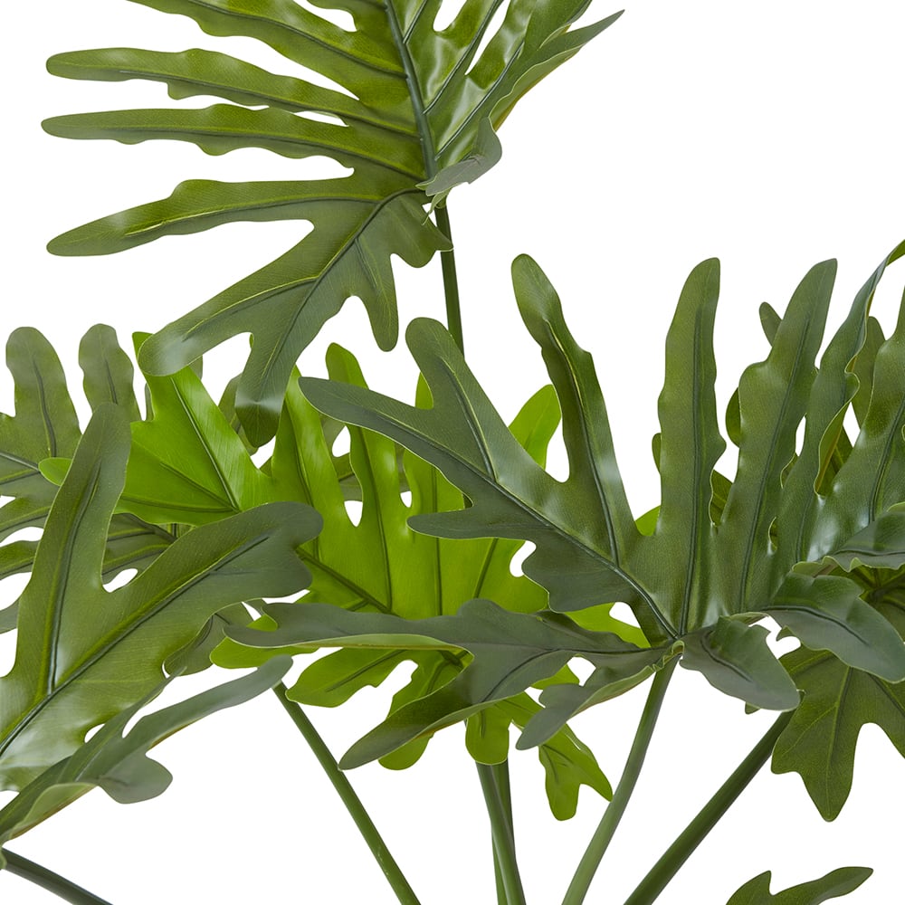 Split Philo Plant Potted - 92cm color Green