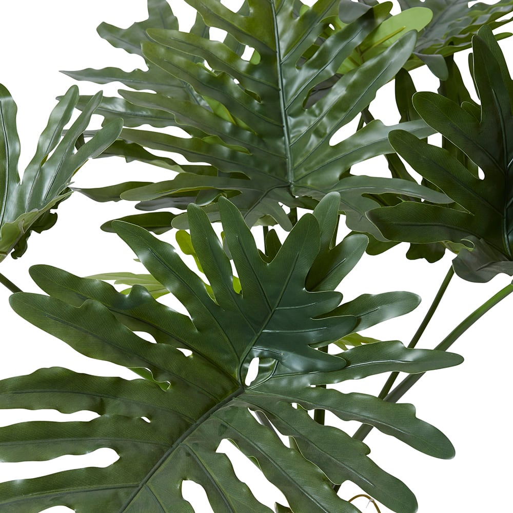 Split Philo Plant Potted - 170cm color 68194202