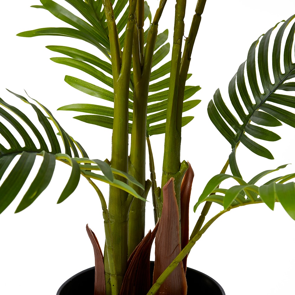 Areca Palm Potted Plant Green - 90cm x 90cm x 120cm color Green