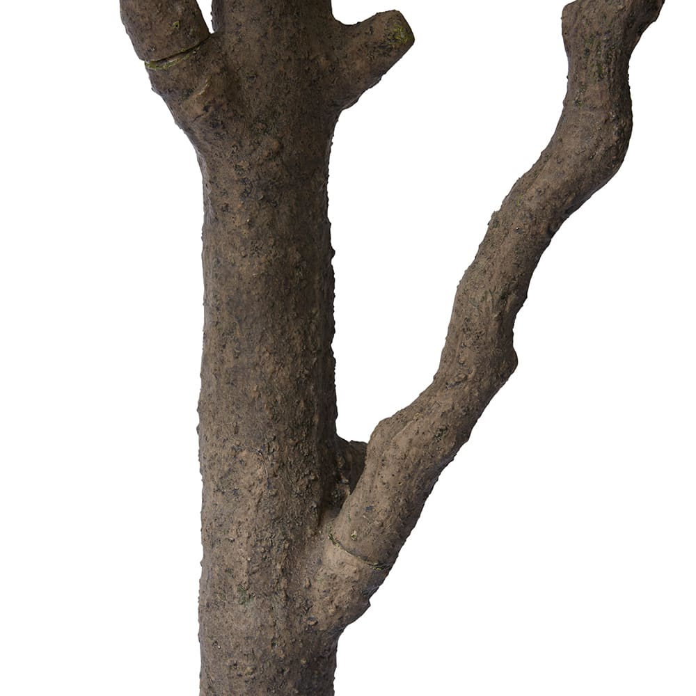 Olive Tree - 130cm x 130cm x 300cm color Green