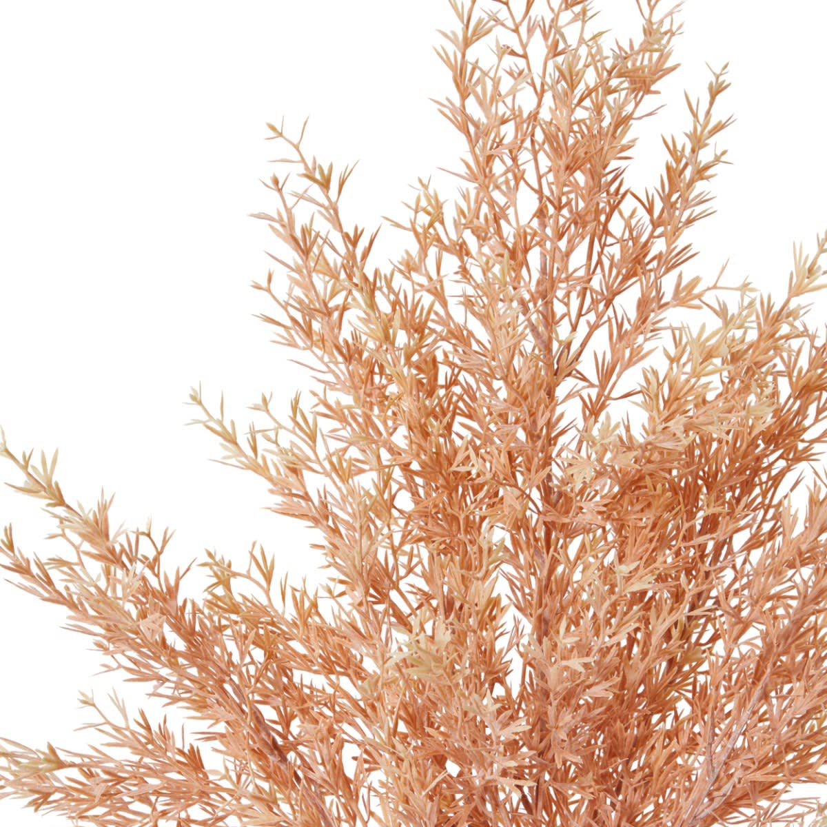 Tea Leaf Bush Salmon - 32cm x 32cm x 53cm color 68194202