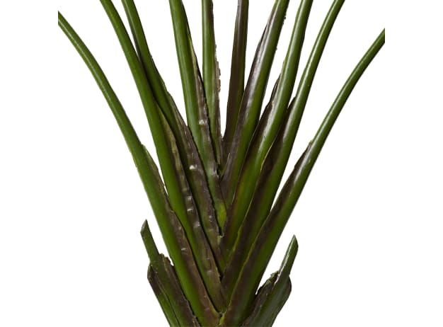 Palm Travellers Potted Plant - 220cm color Green