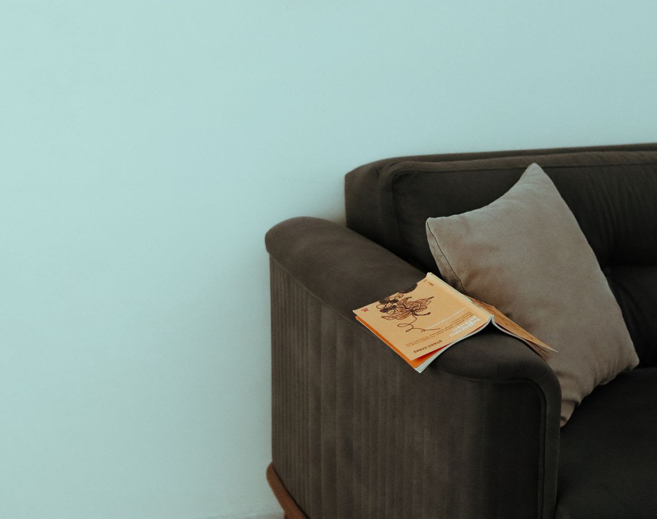 trending chocolate brown sofa