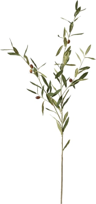 Olive Spray Grey Green - 100CM color Grey Green