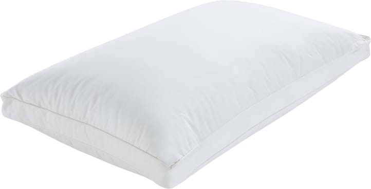 Art & Science Pillow color White