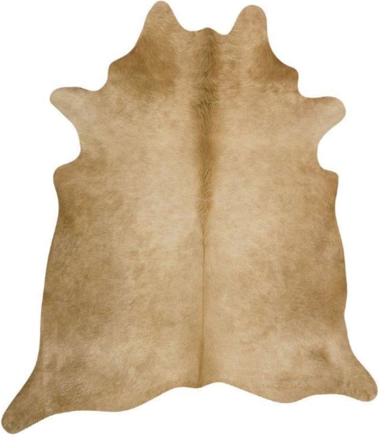 Premium Brazilian Cowhide Beige 200 x 150cm color Beige