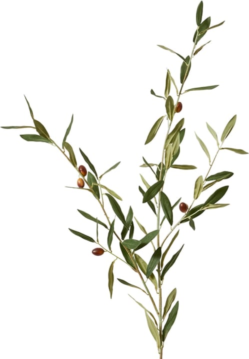 Olive Spray Grey Green - 100CM color Grey Green
