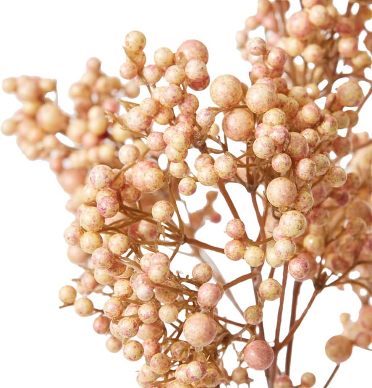 Elderberry Stem Pink - 61 cm color Pink