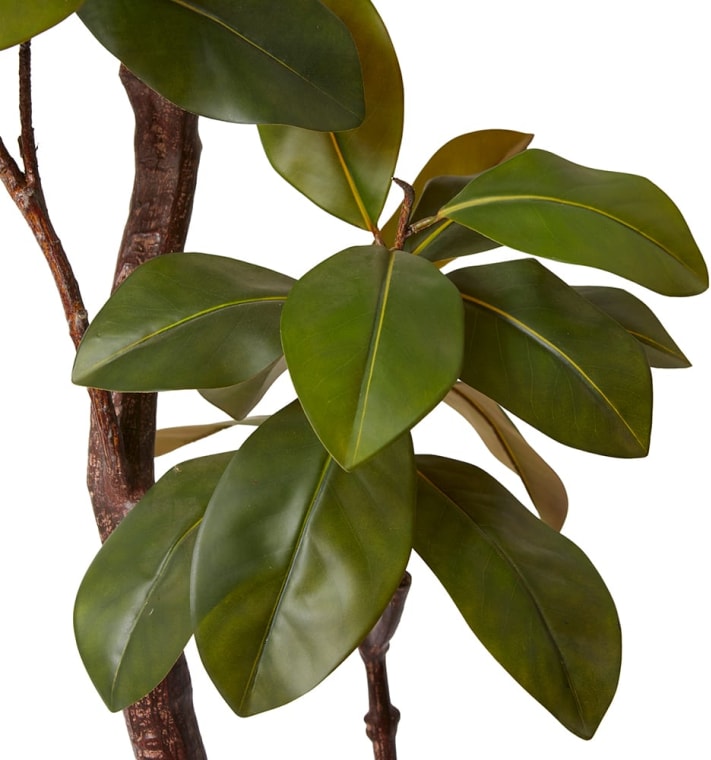 Magnolia Tree Green - 210 cm color Green