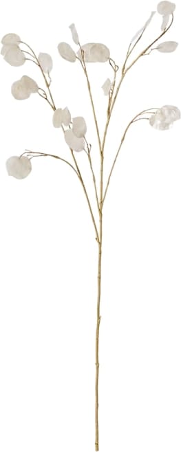 Silver Dollar Spray Pearl - 94cm color Silver