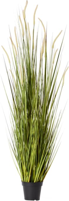 Fox Tail Grass Green/White - 70cm x 70cm x 170cm color Green