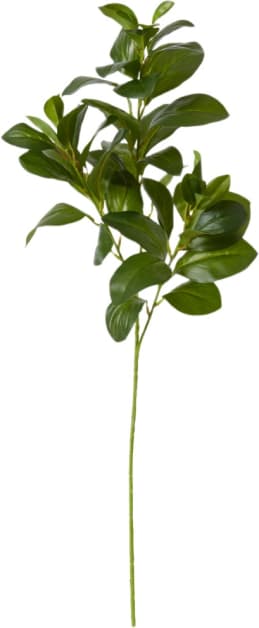 Lush Leaf Spray Green 