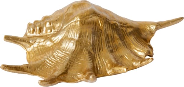 Murex Shell Sculpture - 33cm x 19cm color Gold