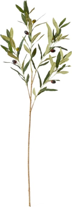 Olive Spray Grey Green - 97cm color Grey/Green