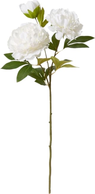 Peony Queen Spray - 30 x 20 x 76cm color White