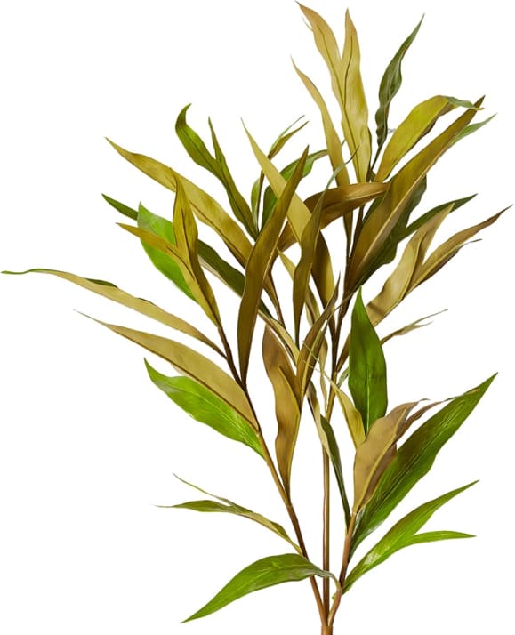 Silky Oak Leaf Spray - 40 x 15 x 122cm color Green Brown