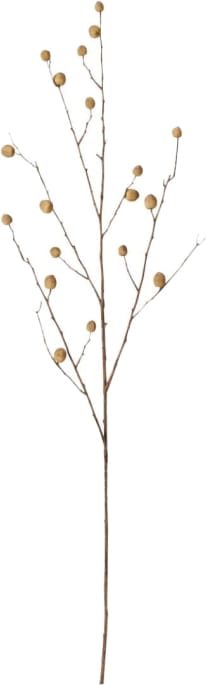 Berry Branch Natural - 108cm 