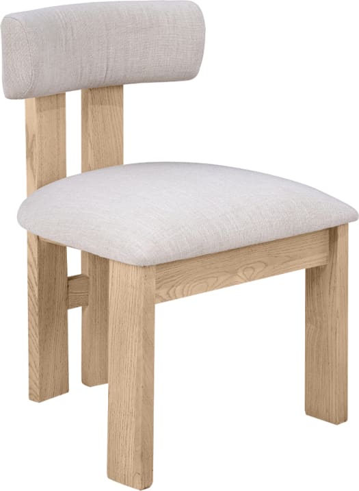 Coast Reclaimed Elm Dining Chair color Natural