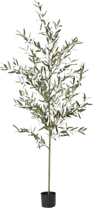 Olive Potted Tree Grey Green - 75cm x 75cm x 200cm color Grey/Green