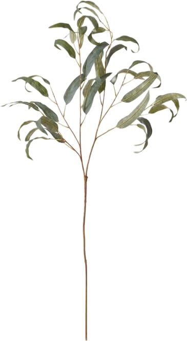 Gum Leaf Spray Green - 90cm color Green