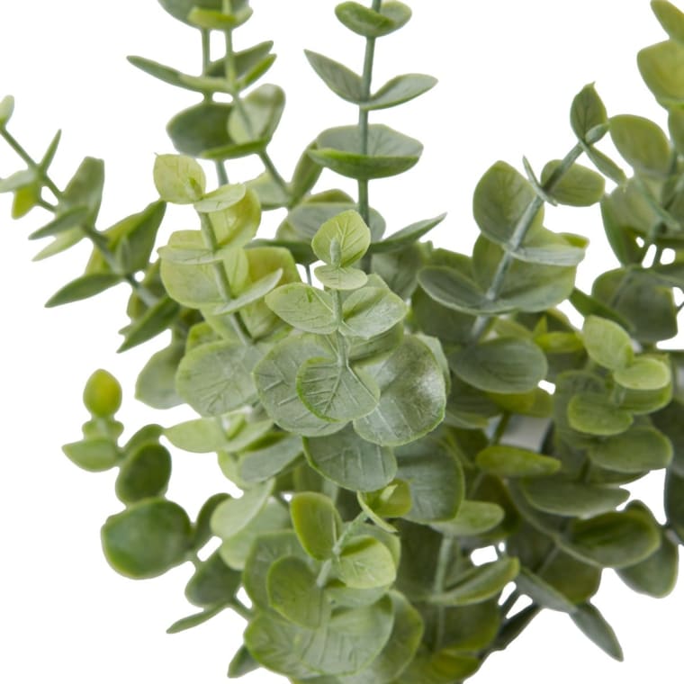 Eucalyptus Bush - 15 x 15 x 24cm 