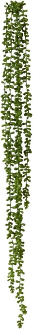String of Pearls Hanging Plant - 10 x 8 x 96cm