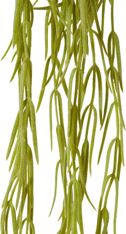 Wax  Vine Hanging Plant - 20 x 7 x 53cm 