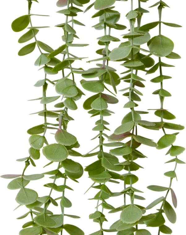 Coin Leaf Hanging Bush - 16 x 10 x 81cm 