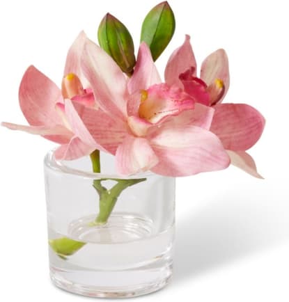 Cymbidium Orchid in Vase - 15 x 8 x 15cm color Pink