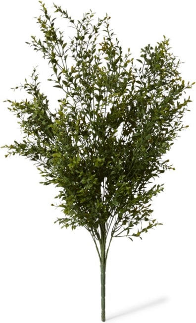 Boxwood Bush - 59 x 53 x 78cm