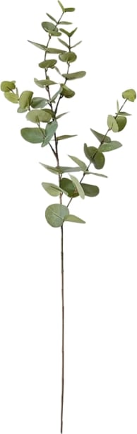 Eucalyptus Dollar Spray Grey Green - 94cm color Grey/Green