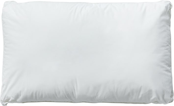Art & Science Firm Pillow color White