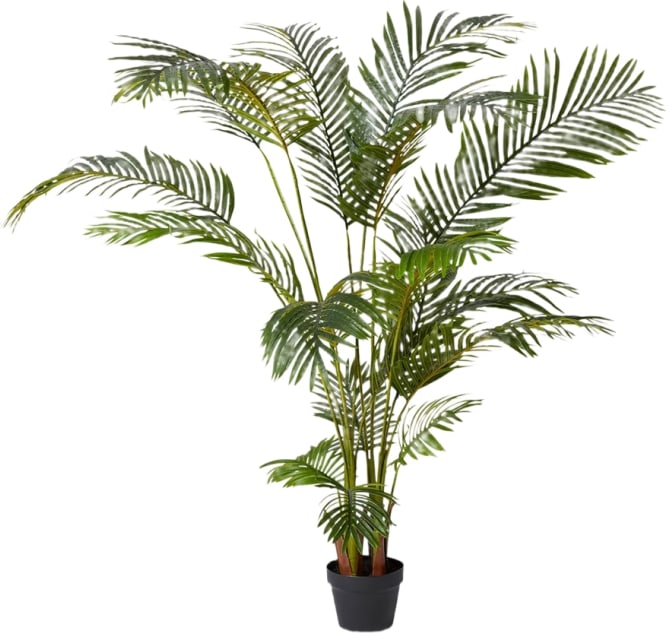 Areca Palm Potted Plant Green - 110cm x 110cm x 170cm color Green