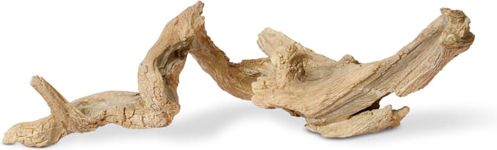 Banzi Sculpture Natural - 24cm color Natural