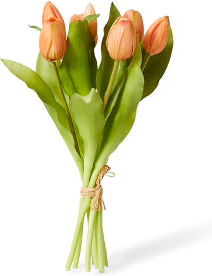 Tulip Petite Bundle - 22 x 22 x 30cm color Apricot