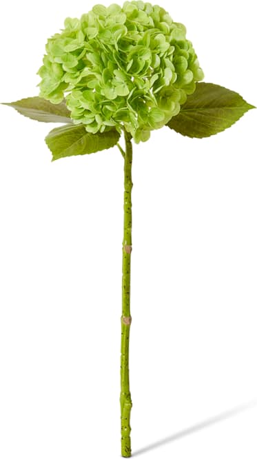 Hydrangea Classic Stem - 30 x 20 x 52cm color Dark Green
