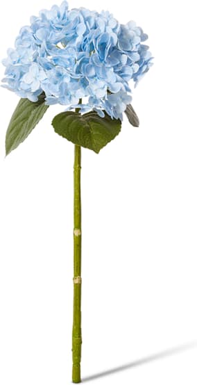 Hydrangea Classic Stem (Fresh Touch) - 30 x 20 x 52cm color Light Blue