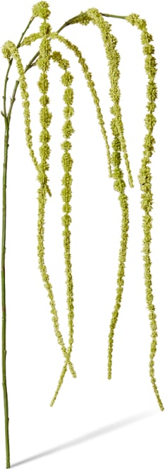 Amaranthus Hanging Spray - 16 x 16 x 147cm