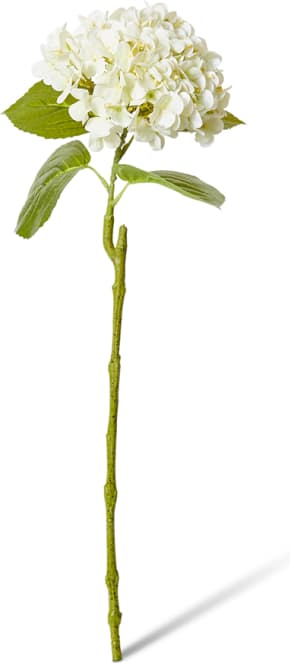 Hydrangea Bloom Stem - 25 x 20 x 60cm color White