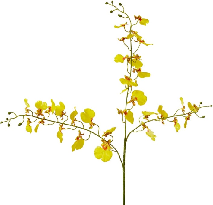 Dancing Orchid Spray - 23 x 10 x 97 cm 