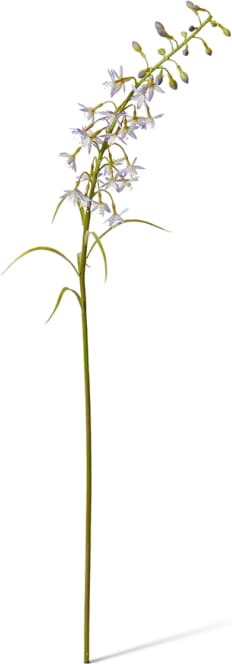 Delphinium Mini Stem - 28 x 14 x 70cm color Purple