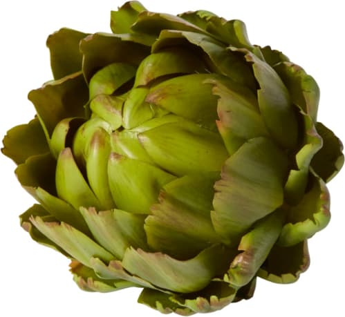 Artichoke Decorative color Green