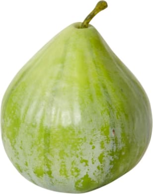Fig Decorative