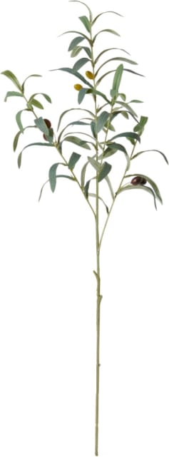 Olive Spray - 81cm color Green