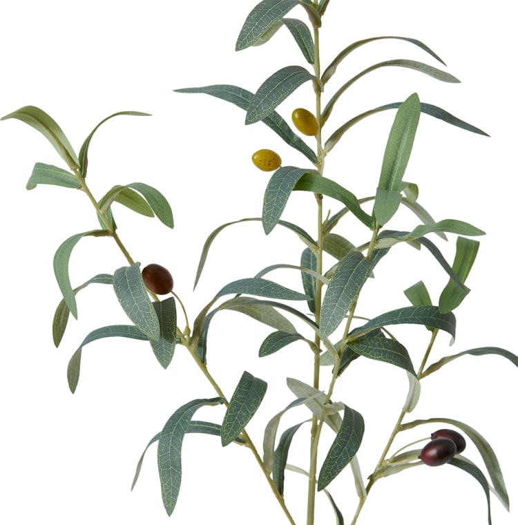 Olive Spray - 81cm color Green