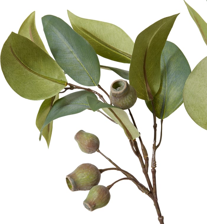 Eucy Gum Nut Spray Green - 84cm color Green