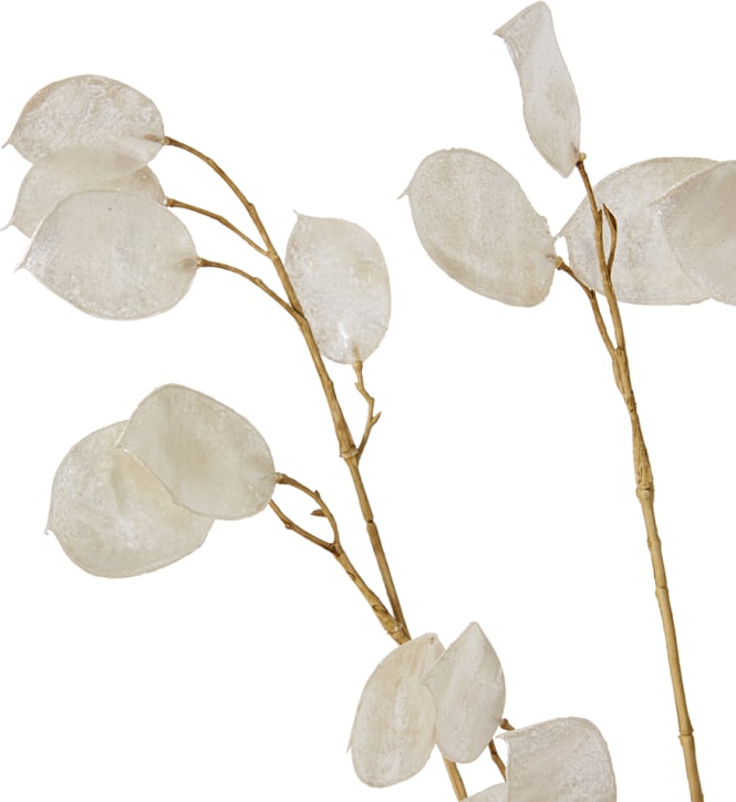 Silver Dollar Spray Pearl - 94cm color Silver